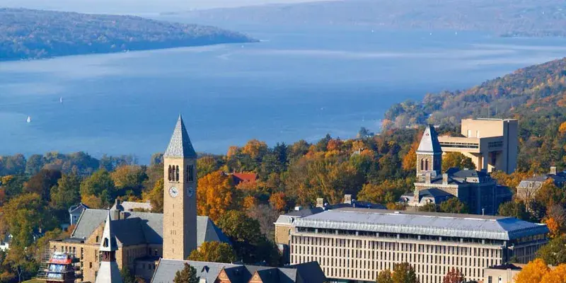 Cornell Üniversitesi