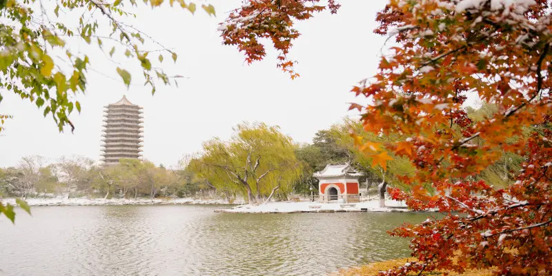 Peking Üniversitesi