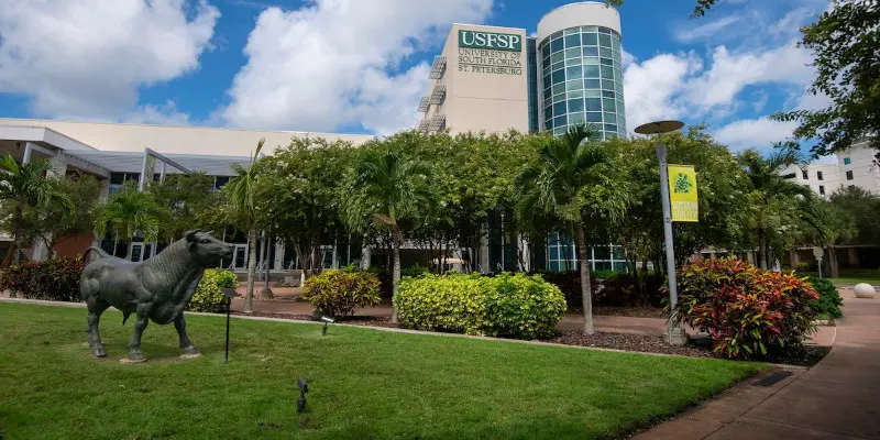 Güney Florida Üniversitesi