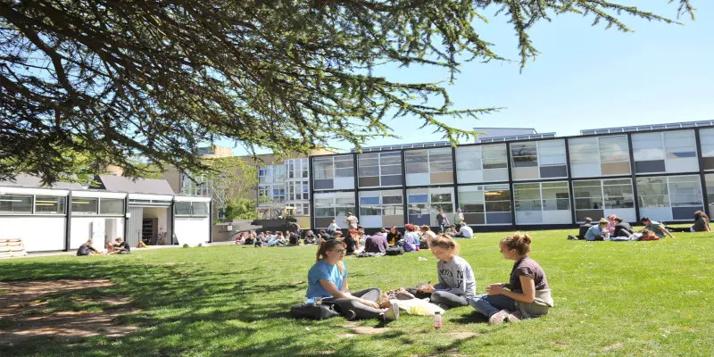 Yaratıcı Sanatlar Üniversitesi