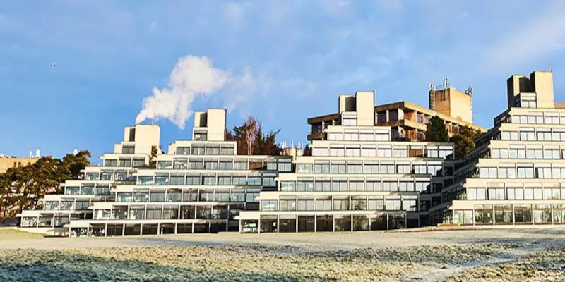 East Anglia Üniversitesi