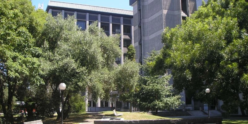 Auckland Üniversitesi
