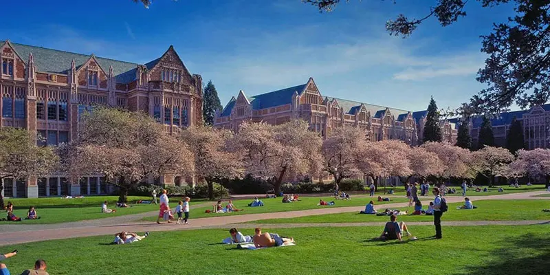 Washington Üniversitesi
