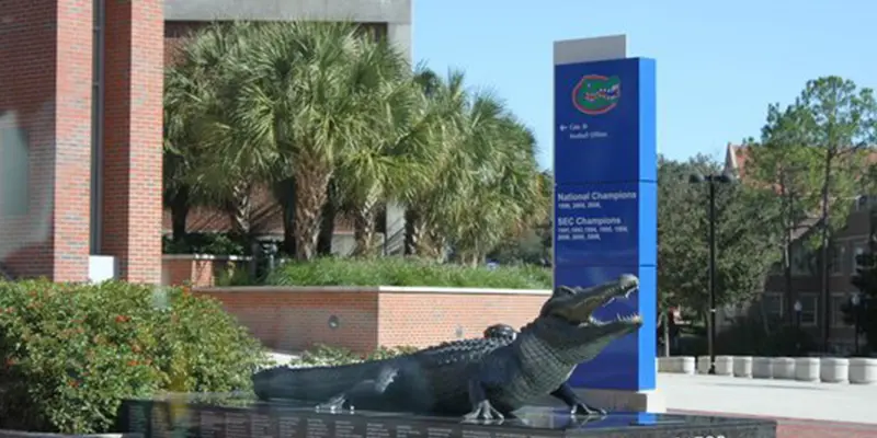 Florida Üniversitesi