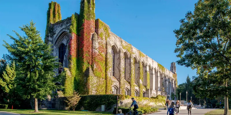 Northwestern Üniversitesi