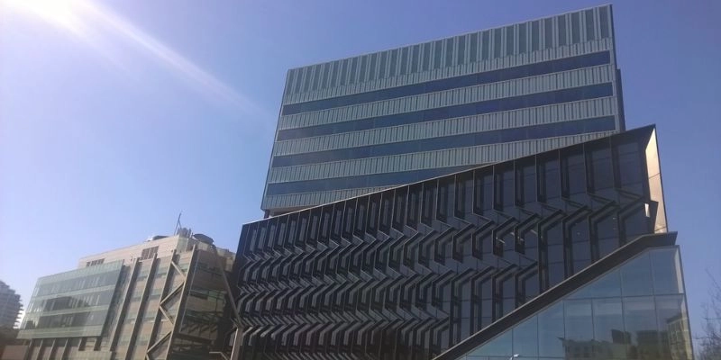 Auckland Üniversitesi