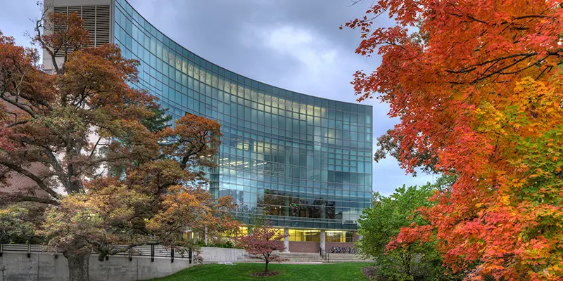 Michigan Eyalet Üniversitesi