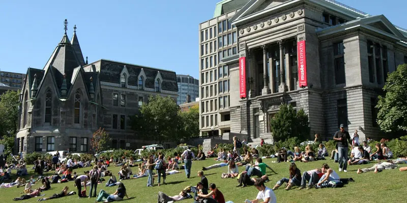 McGill Üniversitesi
