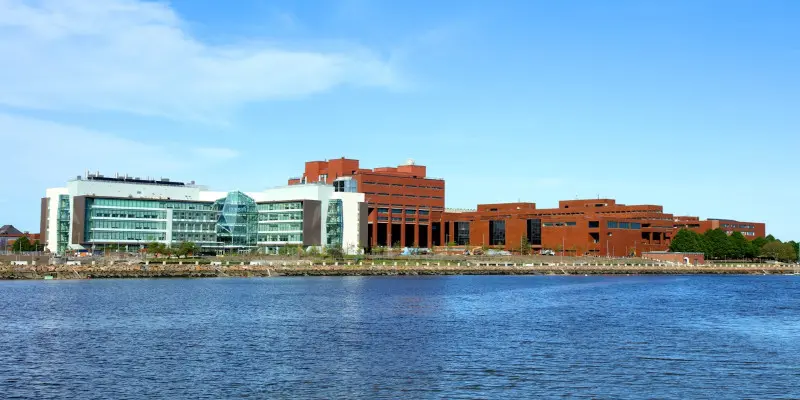 Boston Massachusetts Üniversitesi