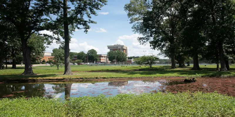 Auburn Üniversitesi - Montgomery