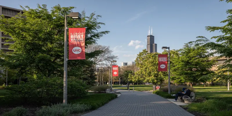 Chicago Illinois Üniversitesi