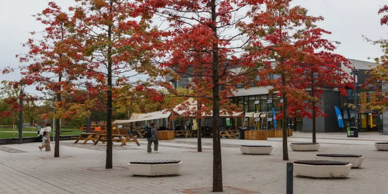 Dublin Şehir Üniversitesi