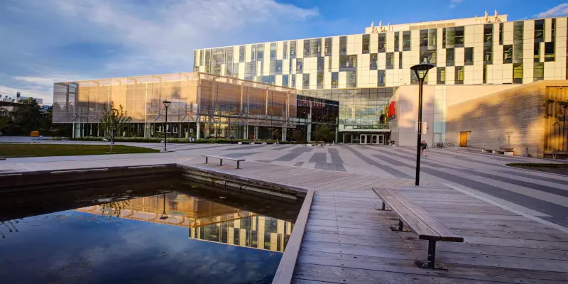 Calgary Üniversitesi
