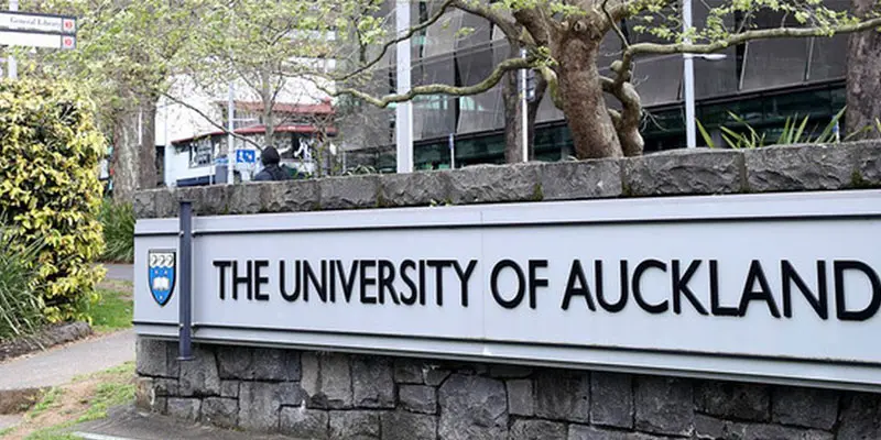 Auckland Üniversitesi