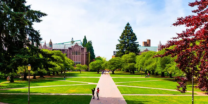 Washington Üniversitesi