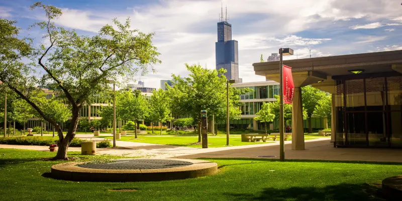 Chicago Illinois Üniversitesi