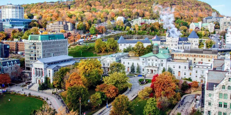 McGill Üniversitesi