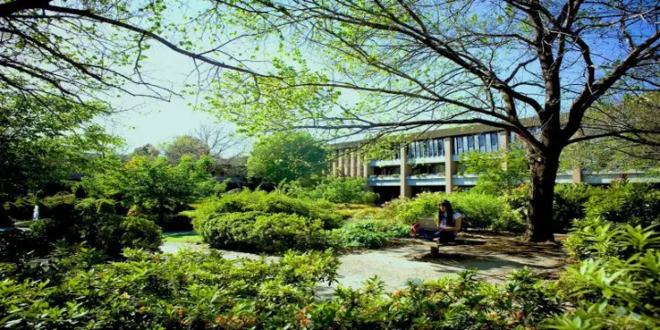 La Trobe Üniversitesi