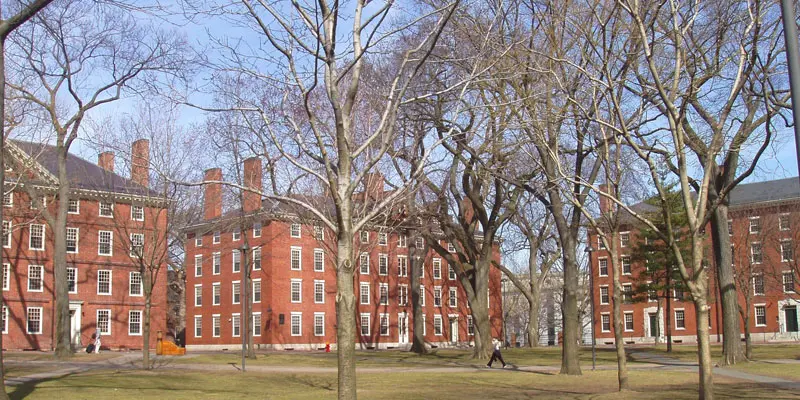 Harvard Üniversitesi