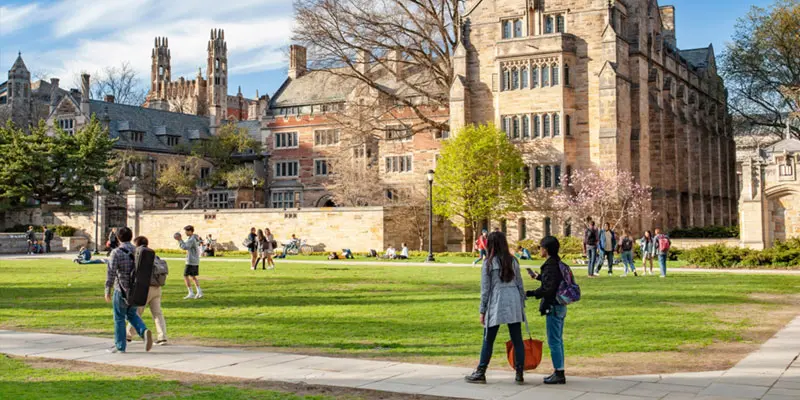 Yale Üniversitesi