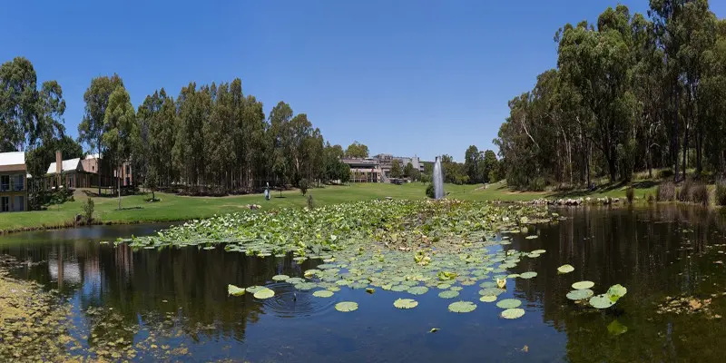 Macquarie Üniversitesi