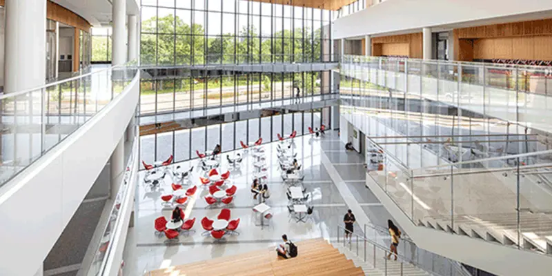 Michigan Eyalet Üniversitesi