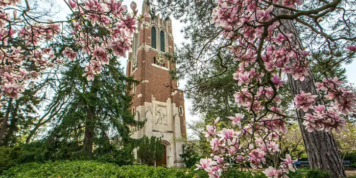 Michigan Eyalet Üniversitesi