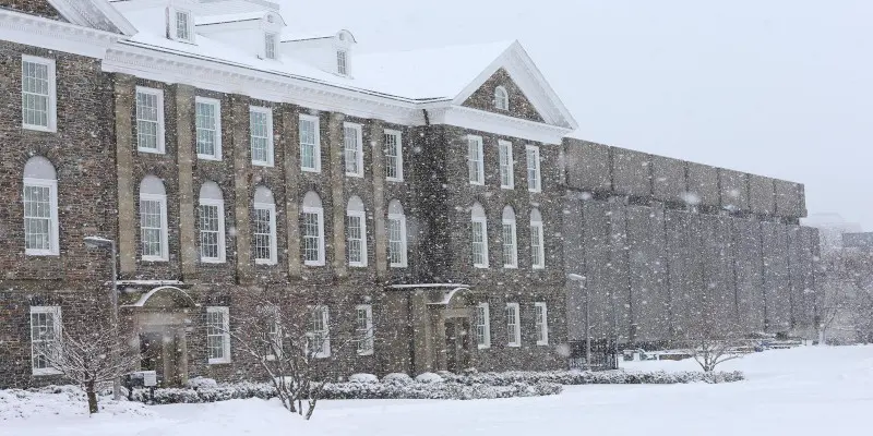 Dalhousie Üniversitesi