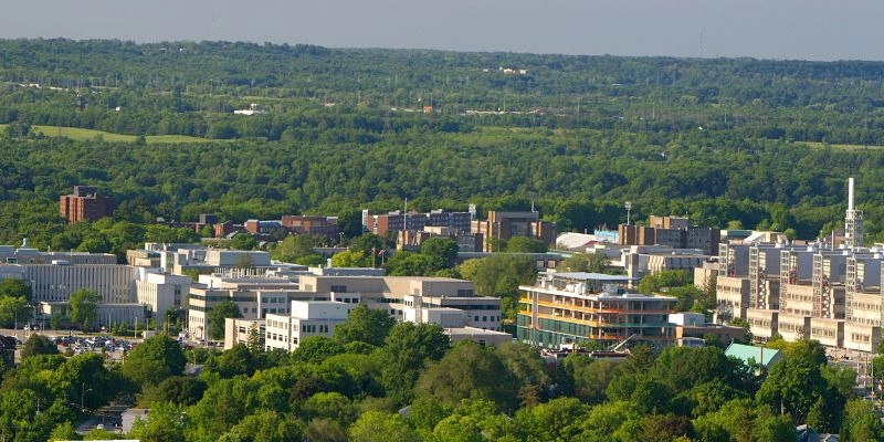 McMaster Üniversitesi