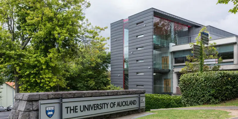 Auckland Üniversitesi