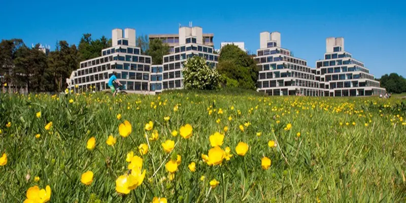 East Anglia Üniversitesi