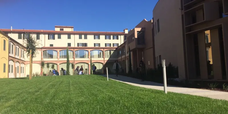 Pisa Üniversitesi