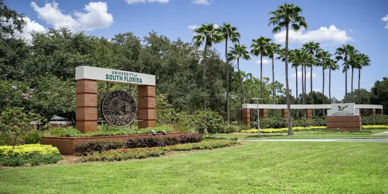 Güney Florida Üniversitesi