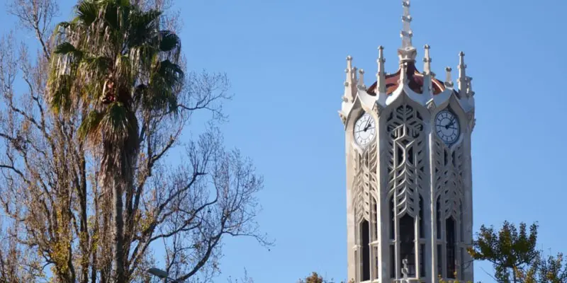Auckland Üniversitesi