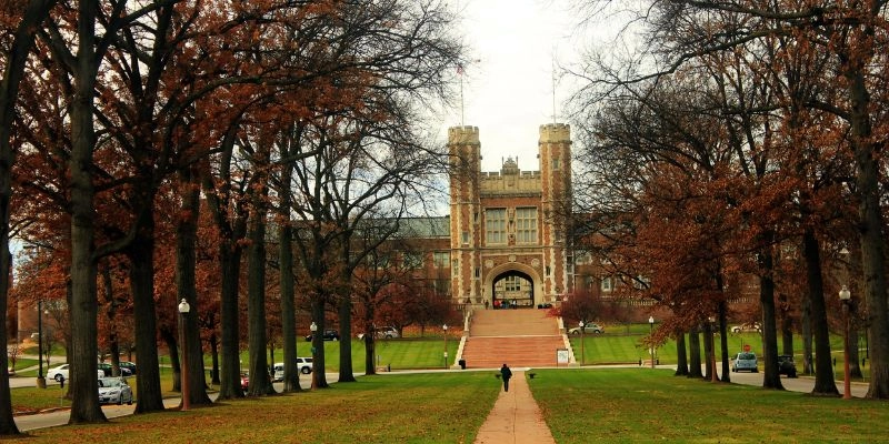 Washington Üniversitesi-St. Louis