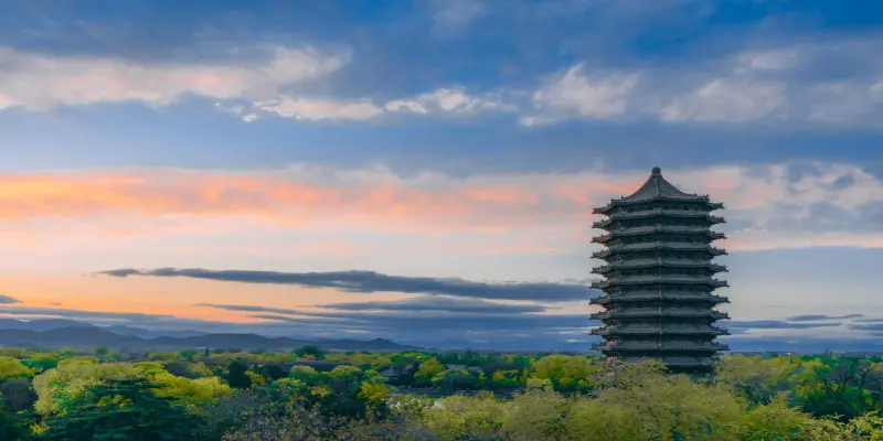 Peking Üniversitesi