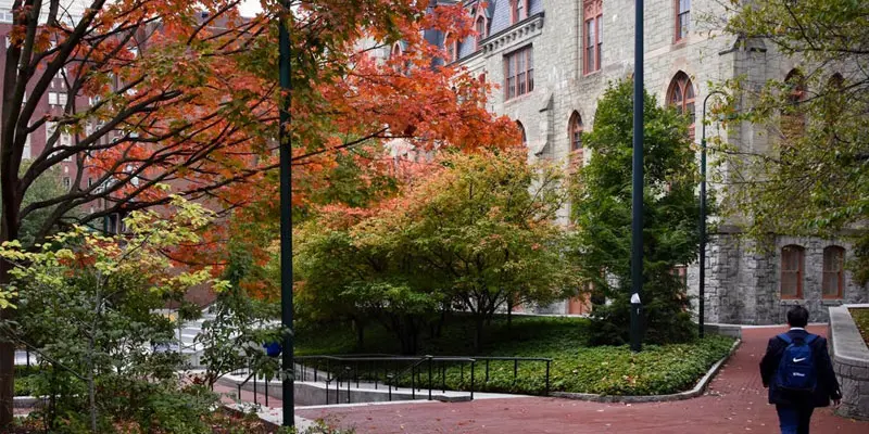 Pennsylvania Üniversitesi