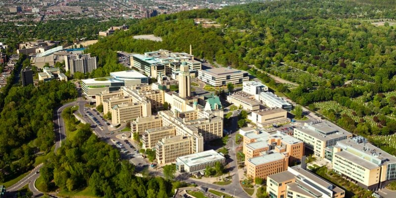 Montréal Üniversitesi