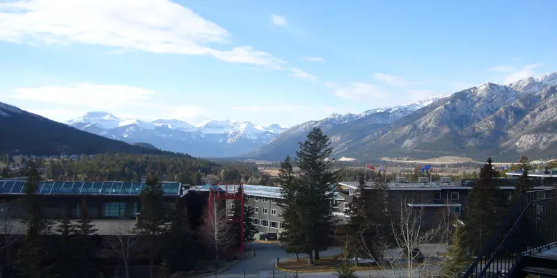 Calgary Üniversitesi