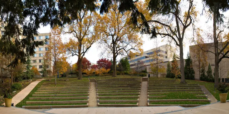 The American Üniversitesi