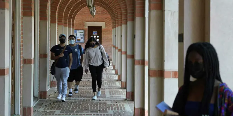 Rice Üniversitesi