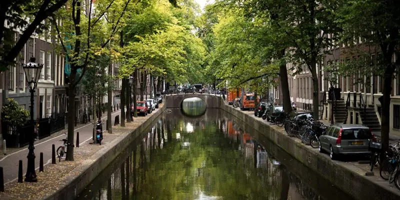 Groningen Üniversitesi