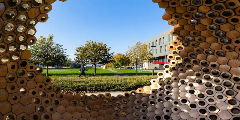 Maynooth Üniversitesi