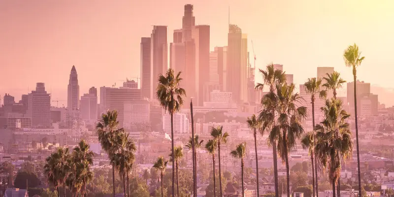American Collegiate - Los Angeles