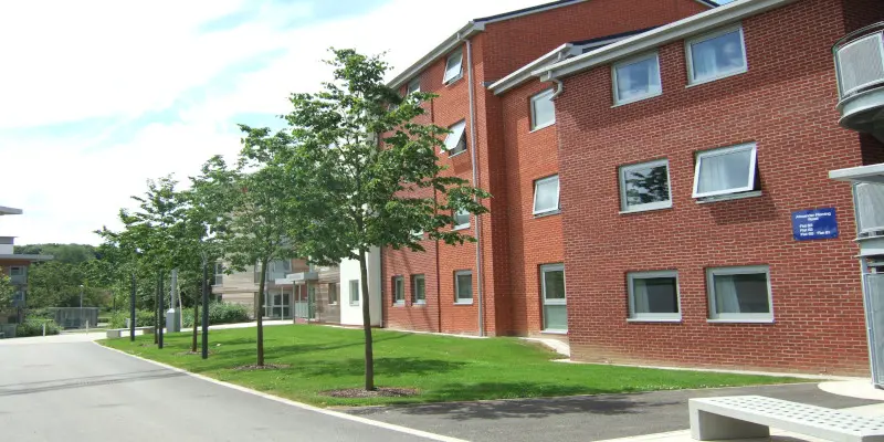 Surrey Üniversitesi