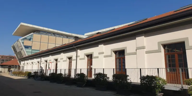 Yeni Güzel Sanatlar Akademisi