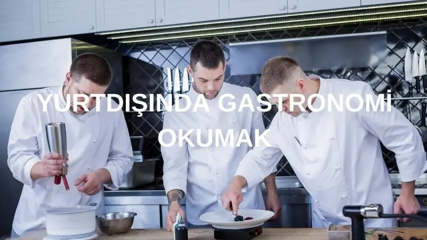  yurtdışında gastronomi okumak, yurtdışında gastronomi eğitimi, gastronomi için en iyi ülkeler 