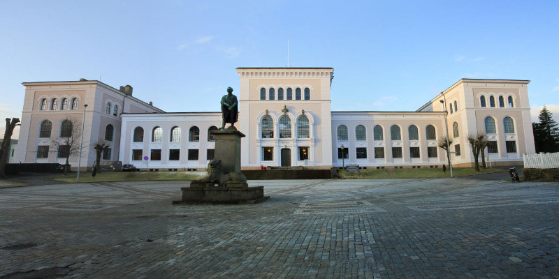 Bergen Üniversitesi
