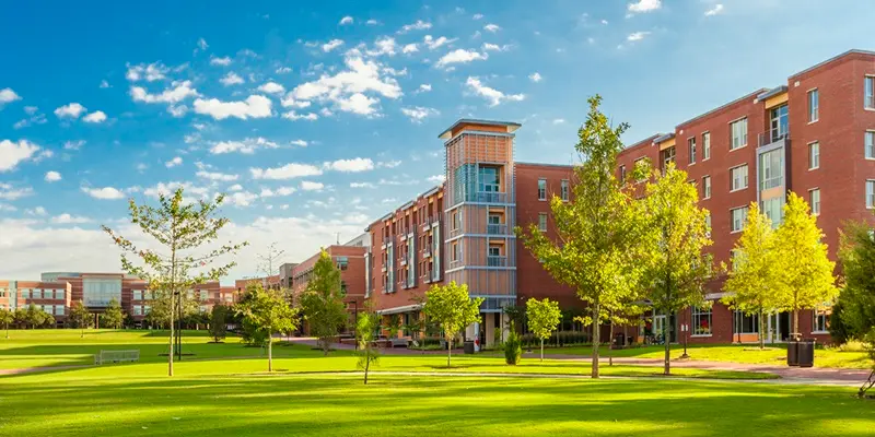 Kuzey Carolina Eyalet Üniversitesi