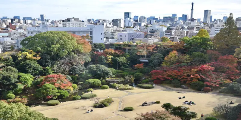 Waseda Üniversitesi
